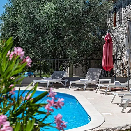 Orchidea Tatil Evi *